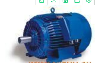奧地利FFD異步電動機(jī)