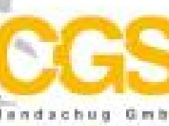 德國(guó)CGS過濾器