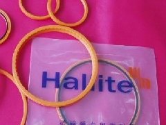 英國(guó)HALLITE活塞密封